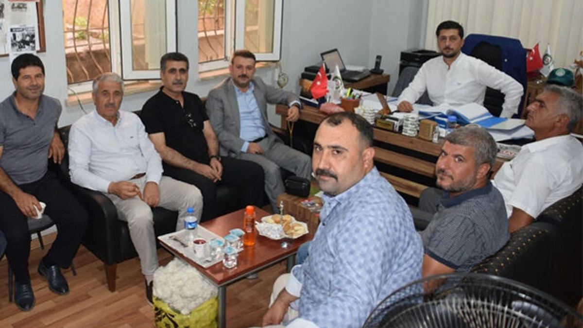Basın 11