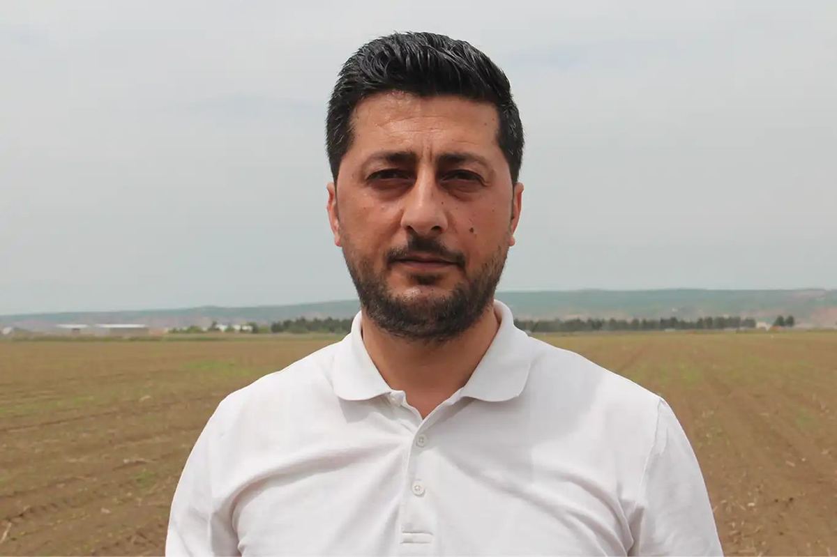 Basın 31